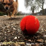 DOMSTüRMER mit neuer Single „Mir Sin All Do“ VÖ 27.10.2023